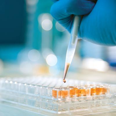 Close-up image of a pipet dropping an orange liquid into small test tubes